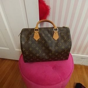 Louis Vuitton Speedy 30 handbag